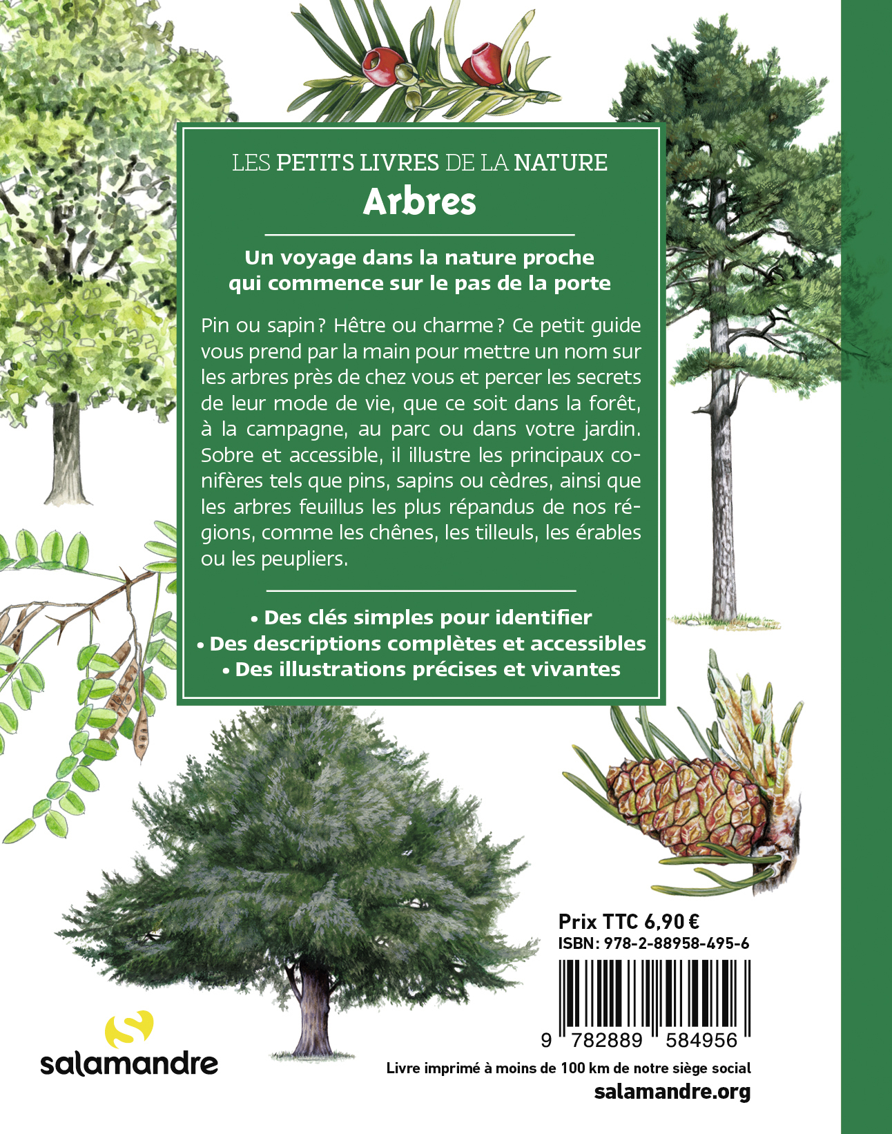 Les petits livres de la nature - Arbres - David Melbeck, Sylvain Leparoux, Alessandro Staehli, Mirko D'Inverno, Marc Tourrette, Cécile Aquisti - LA SALAMANDRE